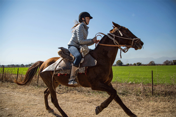 Explore Argentina or Mongolia by Horseback with The Experiment